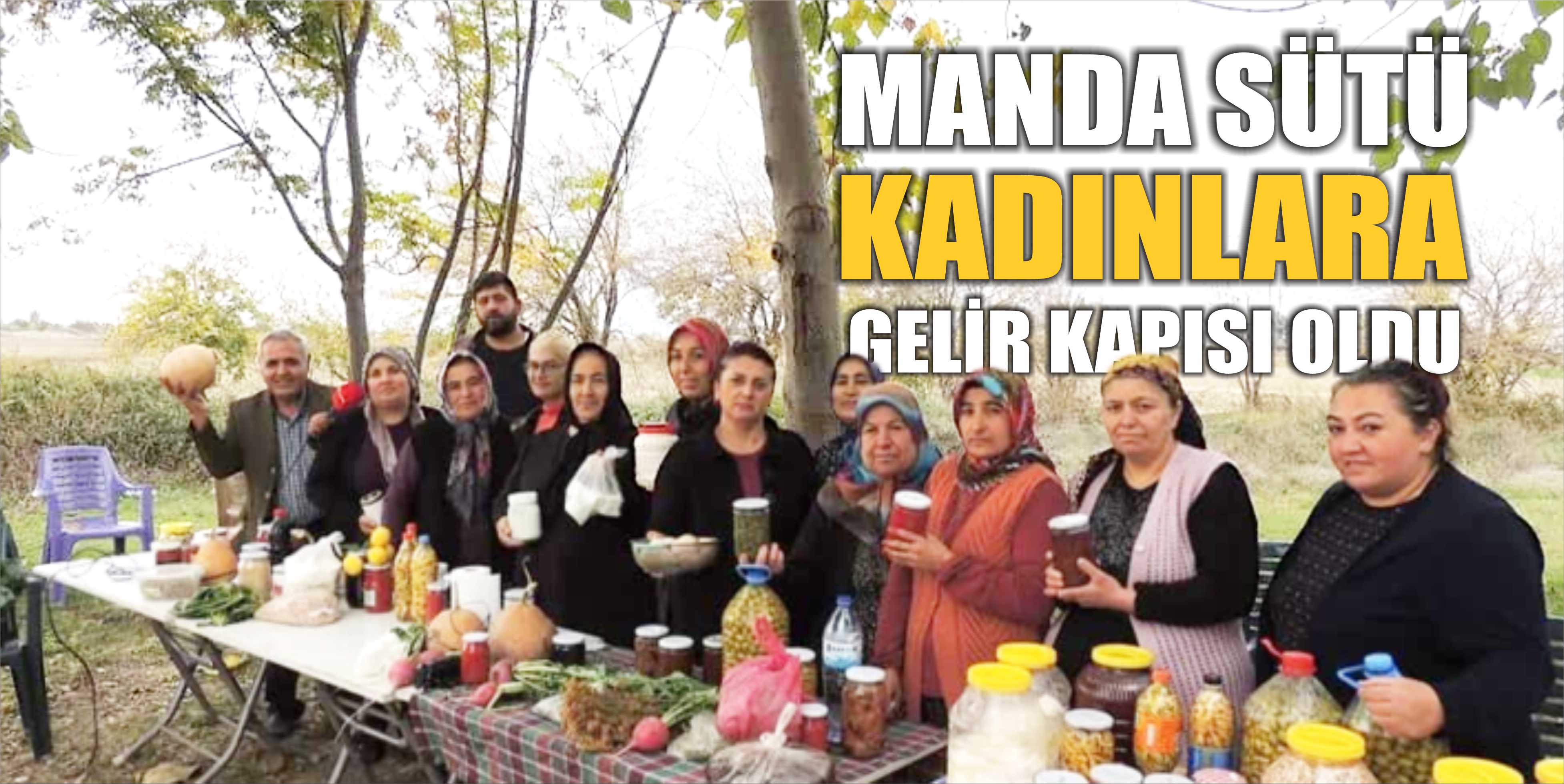 MANDA SÜTÜ VE YOĞURDU ALIN TERLERİ OLDU