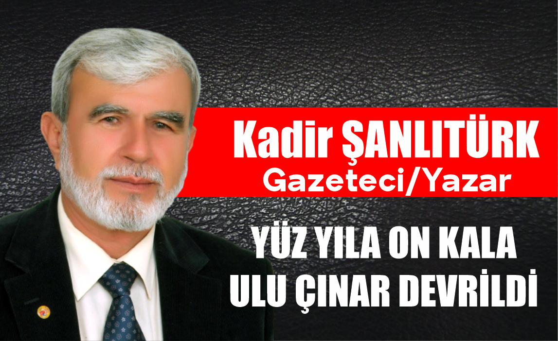 KADİR ŞANLITÜRK YAZDI; YÜZYILA ON KALA ULU ÇINAR DEVRİLDİ